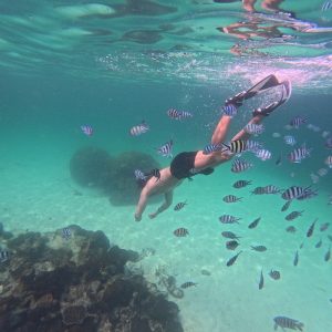 3 island phu quoc tour