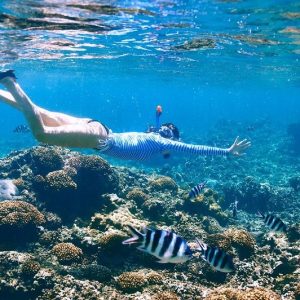 GoPro coral reef snorkeling tour