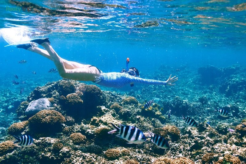 GoPro coral reef snorkeling tour