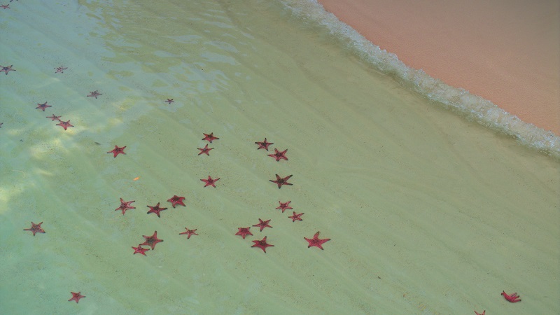 rach vem phu quoc tour