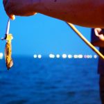 Phu Quoc squid fishing tour