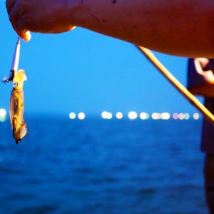 Phu Quoc squid fishing tour