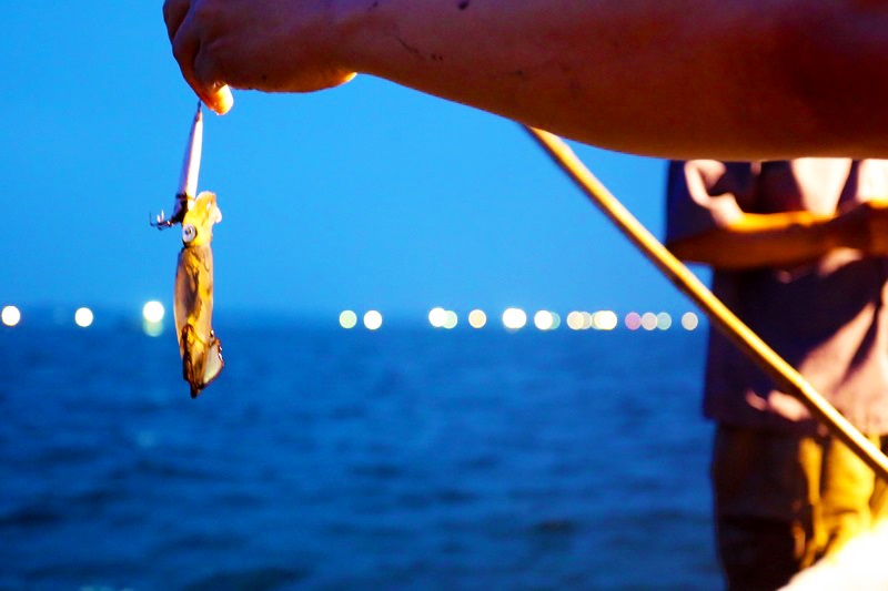 Phu Quoc squid fishing tour