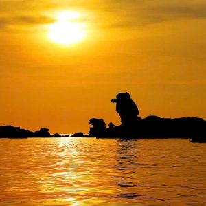 snorkeling tour to see coral reefs and watch the sunset.