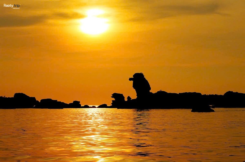 snorkeling tour to see coral reefs and watch the sunset.