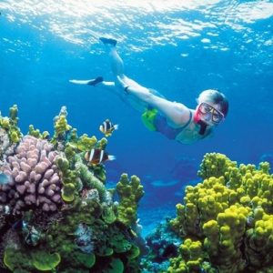 GoPro coral reef snorkeling tour
