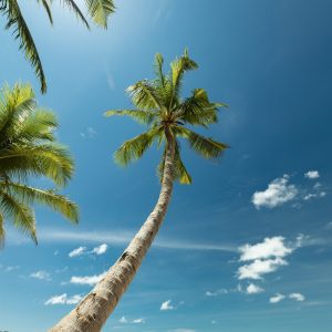 Tour Phú Quốc 3N2Đ Trải Nghiệm Đảo Ngọc Trọn Gói