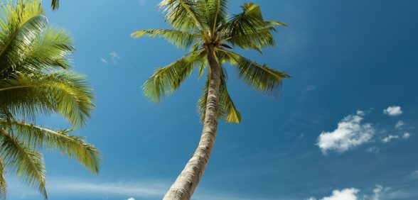 Tour Phú Quốc 3N2Đ Trải Nghiệm Đảo Ngọc Trọn Gói